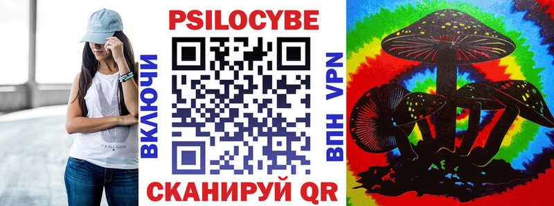 Галлюциногенные грибы Psilocybe  магазин продажи наркотиков  Терек 